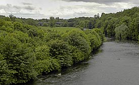 River Maine, Randalstown  looking south