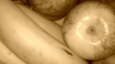 sepia fruit sepia fruit
