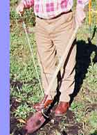 long-hanjdled spade