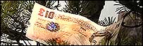Money on trees