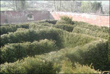 Maze picture
