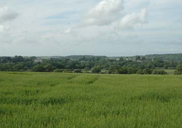 Looking over the valley of the great dairies with Kingston Maurward house on the left.