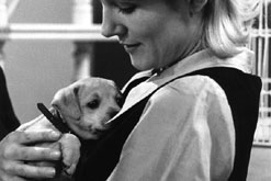 Image; puppy love