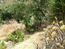 dry land