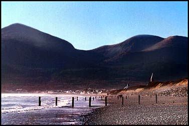 Newcastle in January