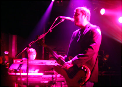 doves