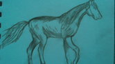 Just a horse... Just a horse...