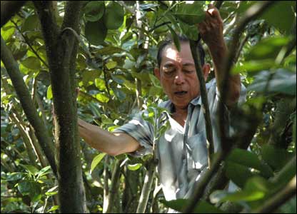 Anh Ba Đức