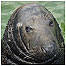 Helford Estuary (Image: Seal)