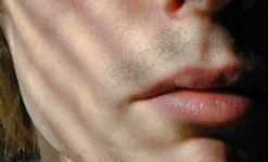 A mouth