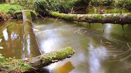 Representation of a flood