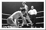 Walter in the ring