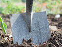 Spade