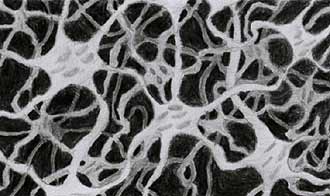 Spongy Grey Maze of synapses