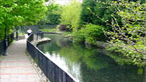 Camlas Pontardawe Camlas Pontardawe