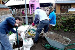 CSV Volunteers