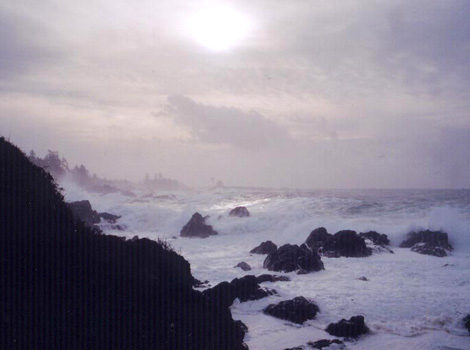 The Pacific 