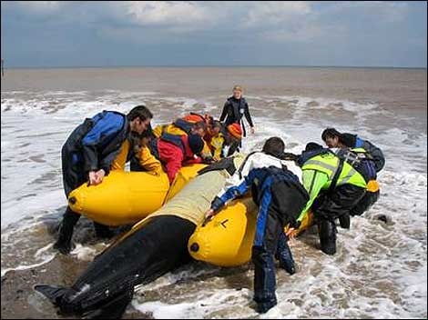 Whale Rescue simulation 470