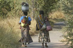 Women in Zimbabwe