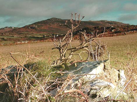 The Zennor coast