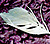 Feather