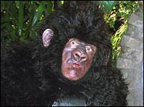 gorilla