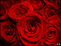 Rosas
