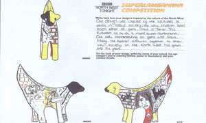 Winning Superlambanana design