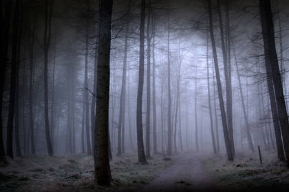 'Stay on the Path' – CHOSEN BY DEREK RIDGERS