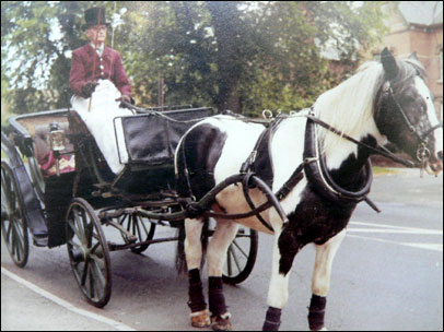 Dr Francis' horse and cart