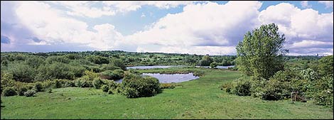 Sandwell Valley Nature Reserve