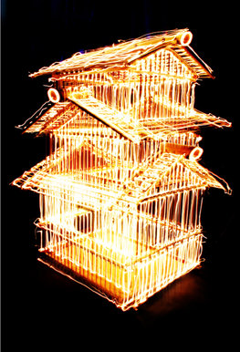Phoenix cage