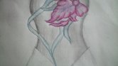 corset