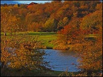 Fens Pools