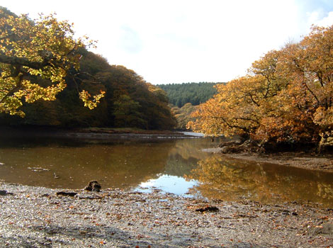 River Lerryn