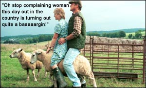 Sheep