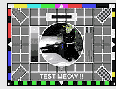 test card