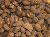 Potatoes