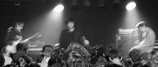 Deerhunter