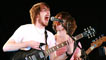 Pulled Apart By Horses