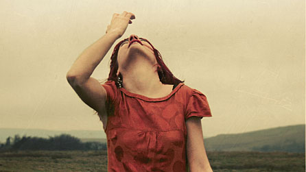 Paper Aeroplanes