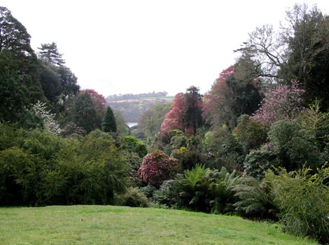 Trebah Gardens