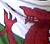 Welsh flag