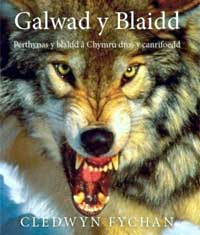 Clawr y llyfr