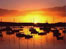 A Cornish sunset