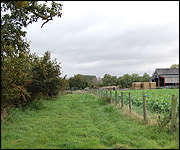 Farmland