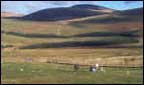 rolling hills