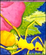 Artwork in the 2003 calendar