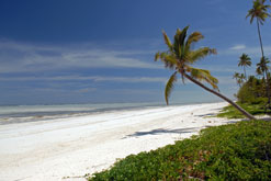 Zanzibar