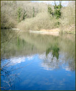 Cherington lake